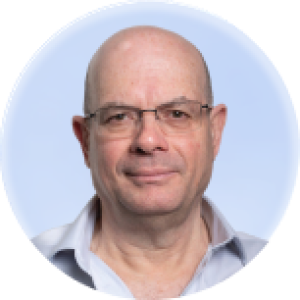 יאיר לפידות