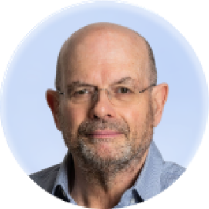 יאיר לפידות